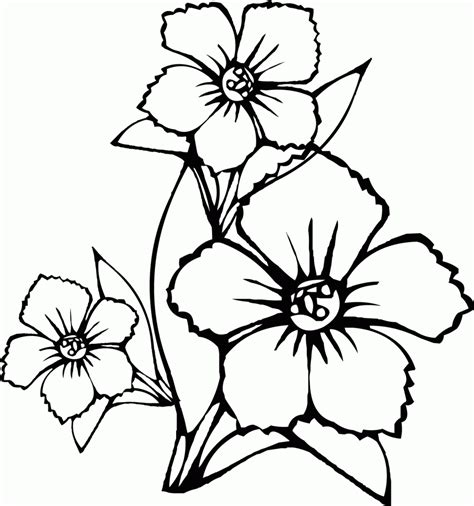 Printable Coloring Pages Of Hawaiian Flowers - Coloring Home