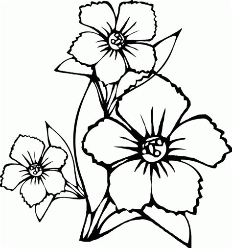 If you want more quality coloring pictures, please select the large size button. Printable Coloring Pages Of Hawaiian Flowers - Coloring Home