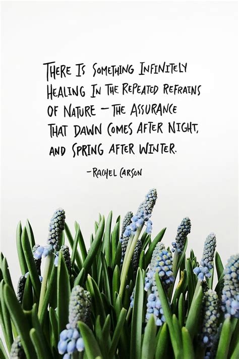 Spring Has Arrived Life Quotes Love Great Quotes Quotes To Live By
