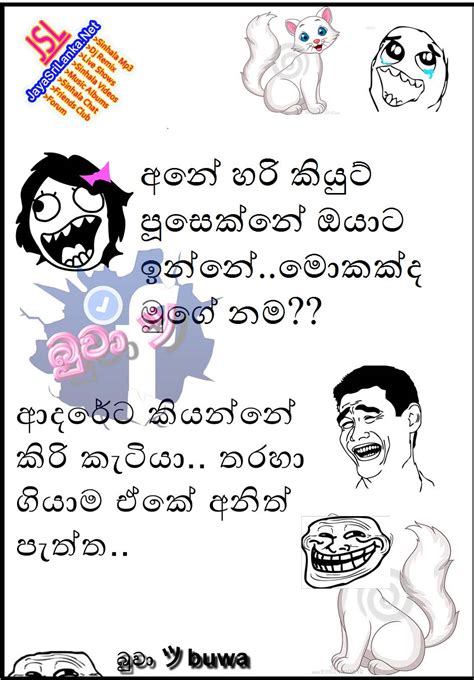 Whatsapp status group video status funny cat funny cat talking sinhala. Download Sinhala Jokes Photos | Pictures | Wallpapers Page ...