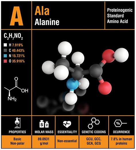 Alanine Amino Acid Molecule Photograph By Carlos Clarivanscience Photo