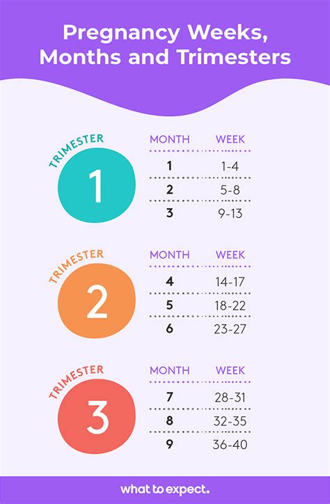 Weeks Of Gestation By Trimester Chart