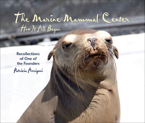 The Marine Mammal Center How It All Began