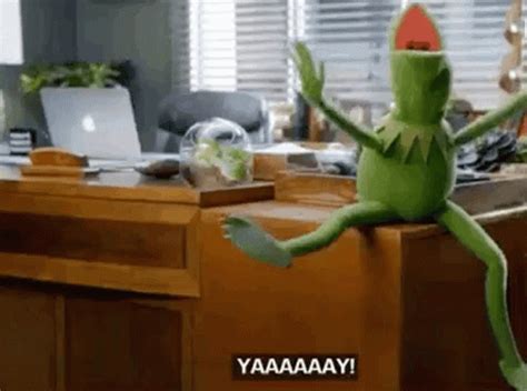 Gif bin is your daily source for funny gifs, reaction gifs and funny animated pictures! Kermit The Frog Yay GIFs | Tenor