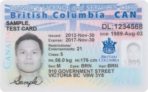 Bc Drivers License Everything You Need To Know