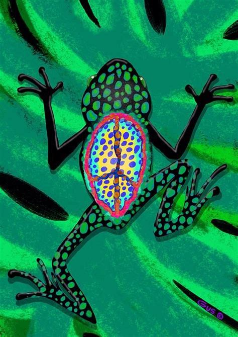Spotted Peace Frog By Nick Gustafson Peace Frog Frog Art Peace