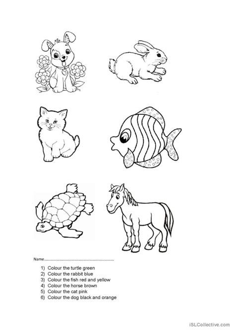 Pets Colour In Sheet Pictur English Esl Worksheets Pdf And Doc