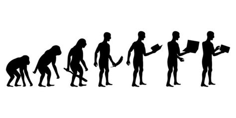 Evolution Stock Vectors Royalty Free Evolution Illustrations