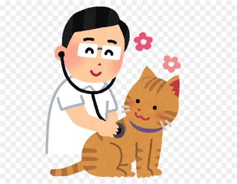 Kucing Dokter Hewan Klinik Hewan Gambar Png