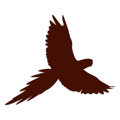 25 Best Looking For Transparent Flying Bird Silhouette Png Alison