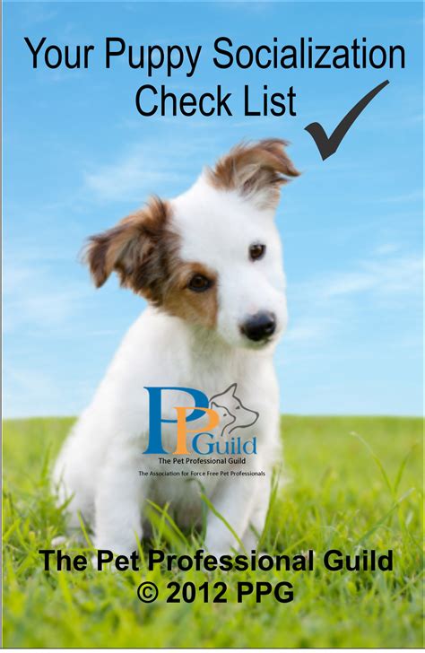 As promised in the last show, these excerpts from the canine campus class manual provide direction on methods for socialization, the socialization scavenger hunt, and teaching bite inhibition. The Pet Professional Guild - Puppy Education