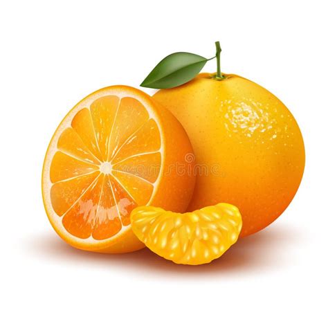 3d Realistic Vector Of Whole Orange Sliced Orange Leaves Stock