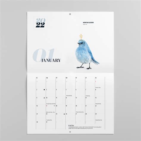 2022 Bird Calendar Barbara Schelling