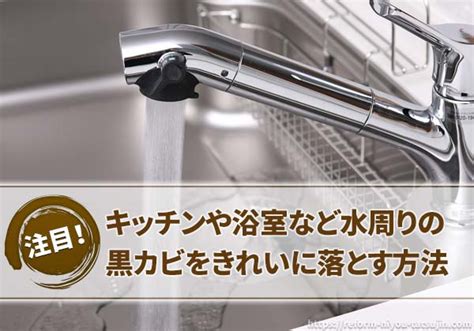 屋根裏部屋の公爵夫人（林マキ(著者) / もり（カドカワｂｏｏｋｓ）(原作) / アオイ冬子(キャラクター原案)）が無料で読める!埃っぽい屋根裏部屋から始まった、公爵夫人オパールの新生活。 若き公爵、ヒューバートとの政略結婚で住むこ. キッチン 黒カビ - Kitchin