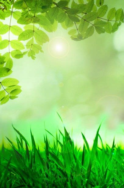 Natural Green Background Green Backgrounds Flower Background