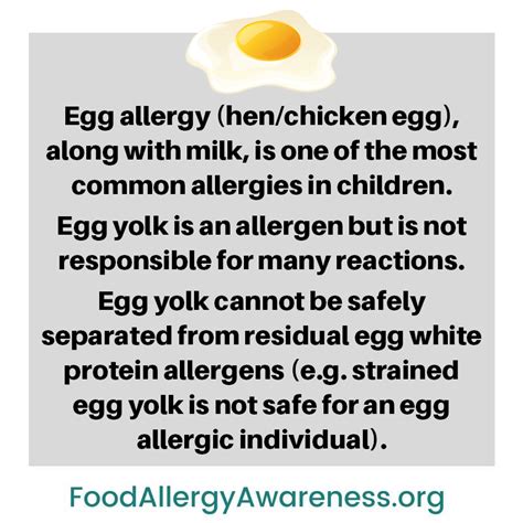 Food Allergy And Anaphylaxis Food Allergens Egg