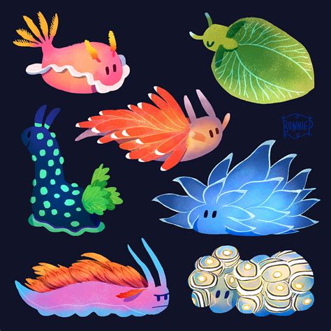 Undersea July On Behance Cute Animal Drawings Cute Art Animal Drawings