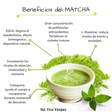 Beneficios Del Matcha Matcha Te Verde Antioxidantes