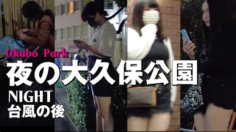 【4k】tokyo Nightwalk 大久保公園周辺 【夜の新宿さんぽ】たち ぼ2022年9月台風が過ぎ去ったので散歩 September 2022 Japan 日本東京擬似観光 龍が如く