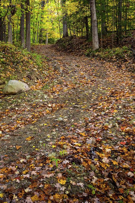 Autumn Pathway Photograph By Dale Kincaid Fine Art America