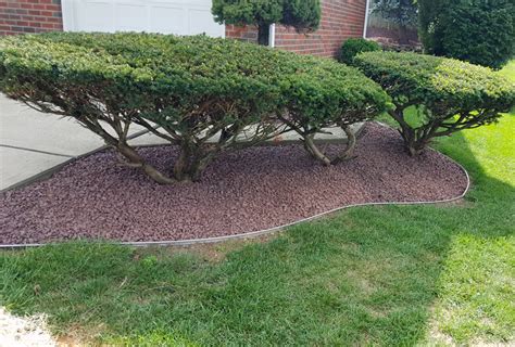 Bethlehem Shrub And Plant Trimming Pruning Services