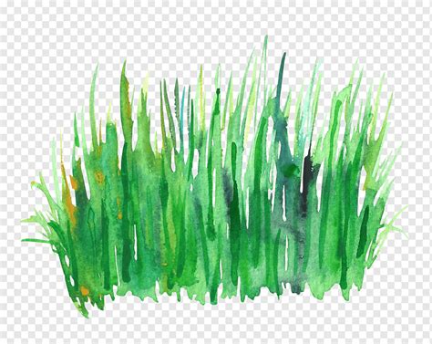 Green Grass Painting Green Watercolor Painting Watercolor Grass