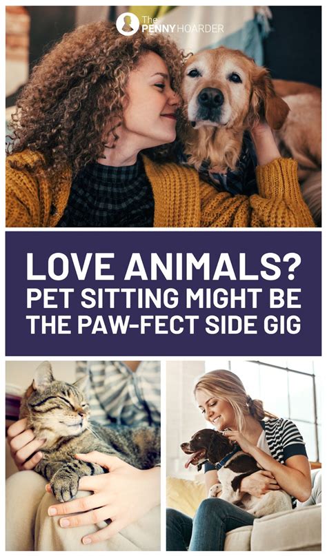 Start your new career with us today! Animal Lover? Pet Sitting Just Might Be the Paw-Fect Side ...
