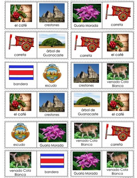 diapositiva simbolos nacionales simbolos patrios costa rica the best porn website
