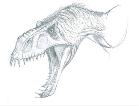 Jurassic World Concept Art Dimorphodon Sketch By Indominusrex On