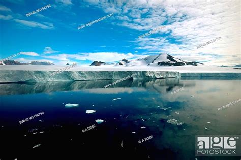 Pure Antarctica Antarctica Southern Ocean Stock Photo Picture And