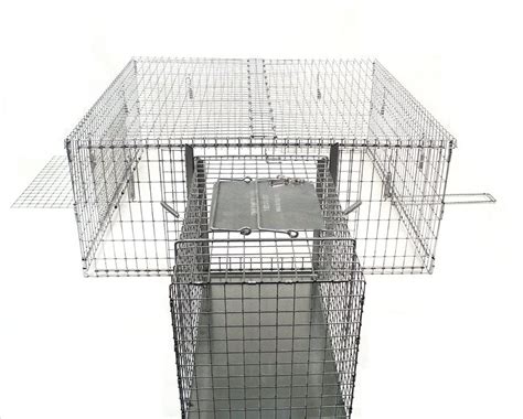 Paws feral cat trap rental if you're looking to relocate feral cats that have been lingering on your property, you don't necessarily need to go out and nixalite live capture in addition to a wide range of traps for capturing small rodents (like rats and gophers) and bigger animals (like groundhogs and. TNR / Feral Cat Traps & Accessories :: TNR Cat Traps ...