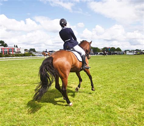 The 3 Types Of Horse Riding Styles You Should Know About