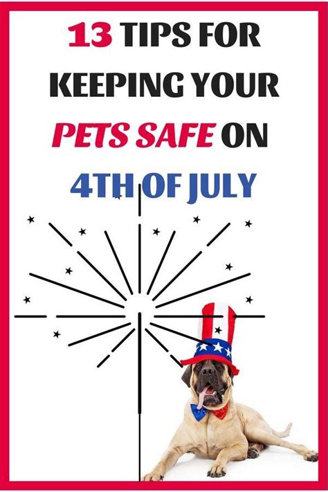 13 Ways To Keep Your Pets Safe On 4th Of July Pet Safe Pets Pet Calming