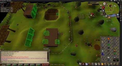 First Osrs Account What Are The Odds Of Agility Pet At Lap 9 Of Gnome