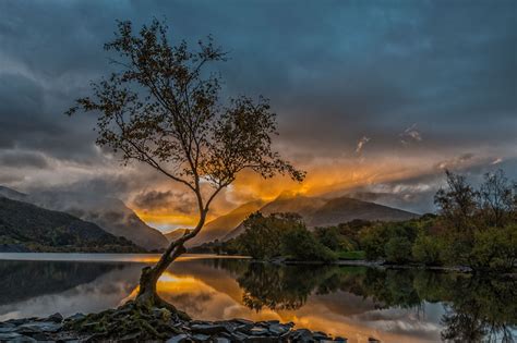 North Wales Photography And Workshops By Simon Kitchin The Lonely Tree