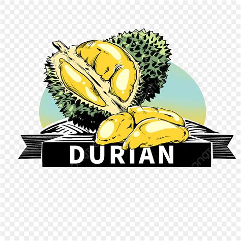 Durian Fruit Clipart Png Images Set Vector Illustration Icon Durian