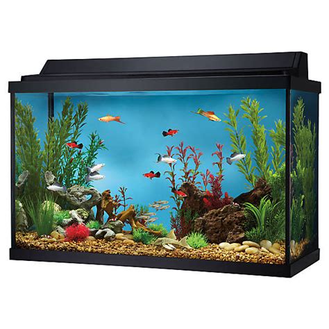 We did not find results for: Top Fin® 29 Gallon Hooded Aquarium | fish Aquariums | PetSmart