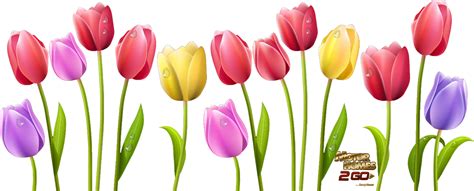 Indira Gandhi Memorial Tulip Garden Flower Computer Icons Clip Art Tulip Png Download