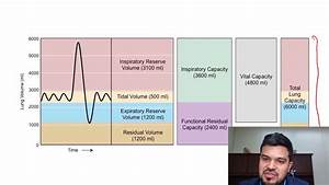 Lung Volumes And Capacities Basics Youtube