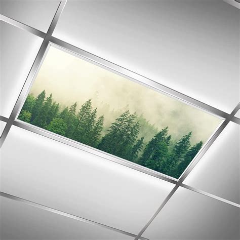 Fluorescent Light Covers Green Forest Field Light Filters For