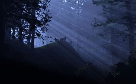 Wallpaper Sunlight Forest Night Nature Morning Mist Moonlight