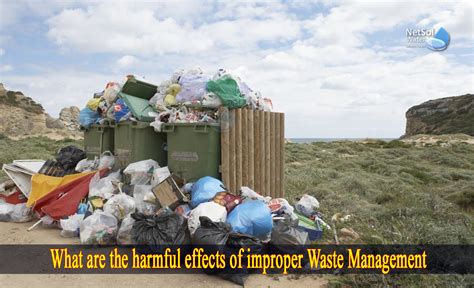 What Are The Harmful Effects Of Improper Waste Management