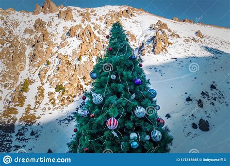 Christmas Tree In Mountain Snow Forest Christmas Tree