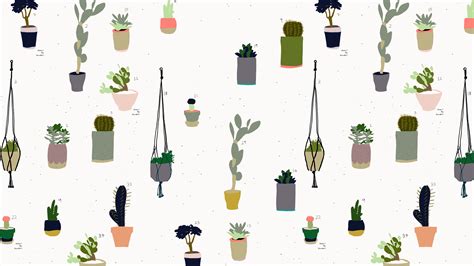 Cactus Wallpapers Top Free Cactus Backgrounds Wallpaperaccess
