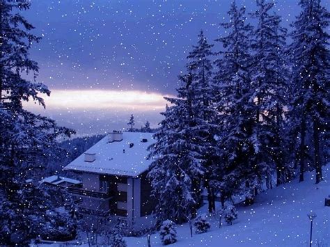 Falling Snowso Peaceful Beautiful Winter Scenes Winter Scenery