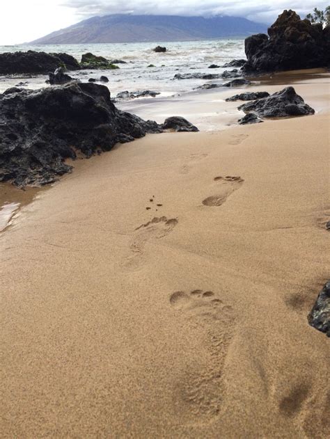 The Footprints Of Two People Are In The Sand Near The Water And Rocks