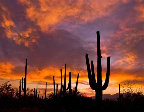 An Orange And Purple Sunset Over The Arizona Desert
