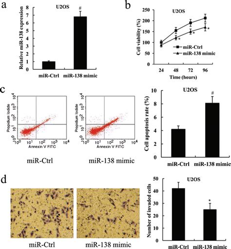 microrna 138 functions as a tumor suppressor in osteosarcoma by targeting differentiated