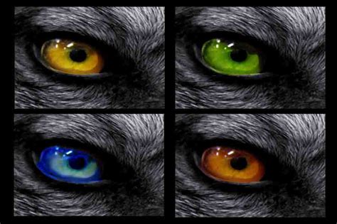 Werewolf Eye Color Chart