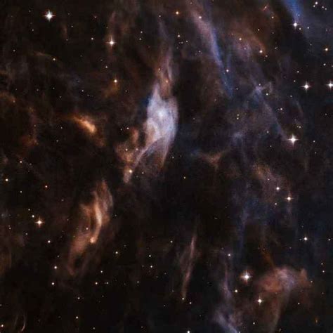 Hubble Osserva La Nebulosa Sh2 308 Che Circonda L Attivissima Stella EZ